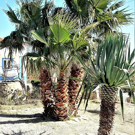 Agua Rocha Feriehus Serra de Mangues