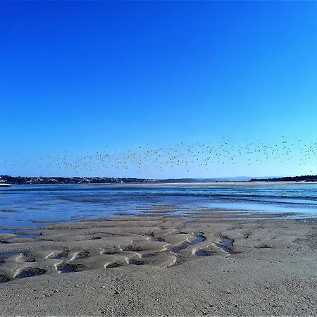 Дом отдыха Agua Rocha Serra de Mangues